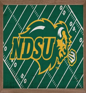 Football Field North Dakota State University
